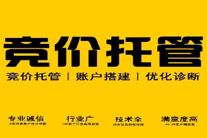 百度推广策略：案例分析如何实现转化
